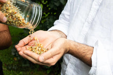 Load image into Gallery viewer, Person pouring sprouted seeds from glass jar into cupped hands outdoors