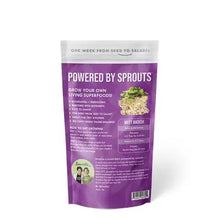 Load image into Gallery viewer, Purple sprouting seed package with clear window showing daikon radish seeds inside