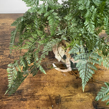 Load image into Gallery viewer, Davallia Rabbit's Foot Fern with fuzzy brown rhizomes and delicate green fronds on wooden surface