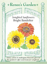 Load image into Gallery viewer, Seeds - Flowers