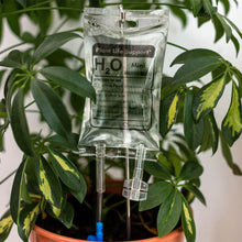 Load image into Gallery viewer, Mini Plant Life Support H2O watering device with IV-style drip system attached to potted plant
