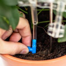 Load image into Gallery viewer, Hand inserting blue watering spike device into potted plant soil with clear water reservoir
