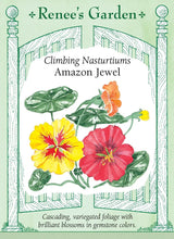 Load image into Gallery viewer, Seeds - Flowers