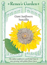 Load image into Gallery viewer, Seeds - Flowers
