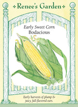 Load image into Gallery viewer, Seeds-Vegetable