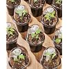 Load image into Gallery viewer, Plastic Nursery Pots with Humidity Domes