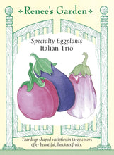 Load image into Gallery viewer, Seeds-Vegetable