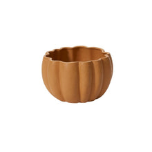 Load image into Gallery viewer, Spiced Pumpkin Pot