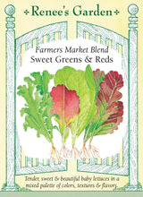 Load image into Gallery viewer, Seeds-Vegetable