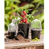 Load image into Gallery viewer, Plastic Nursery Pots with Humidity Domes