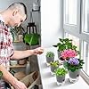 Load image into Gallery viewer, Self-watering planters with reservoir system featuring flowering plants in white ceramic pots
