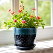 Load image into Gallery viewer, Abra Ogee Planter