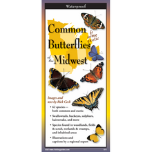 Load image into Gallery viewer, Waterproof field guide showing common Midwest butterflies with colorful illustrations on yellow background