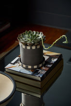 Load image into Gallery viewer, Dark charcoal Kimo Pot with checkered band detail holding a green succulent rosette