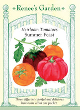 Load image into Gallery viewer, Seeds-Vegetable