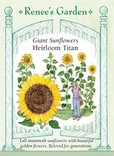 Load image into Gallery viewer, Seeds - Flowers