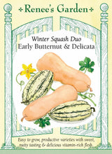 Load image into Gallery viewer, Seeds-Vegetable