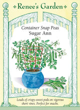 Load image into Gallery viewer, Seeds-Vegetable