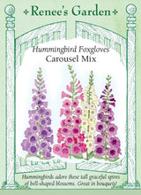 Load image into Gallery viewer, Seeds - Flowers