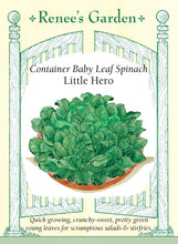 Load image into Gallery viewer, Seeds-Vegetable