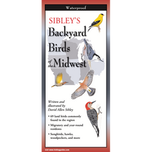 Load image into Gallery viewer, Sibley's Backyard Birds of the Midwest waterproof field guide with colorful bird illustrations