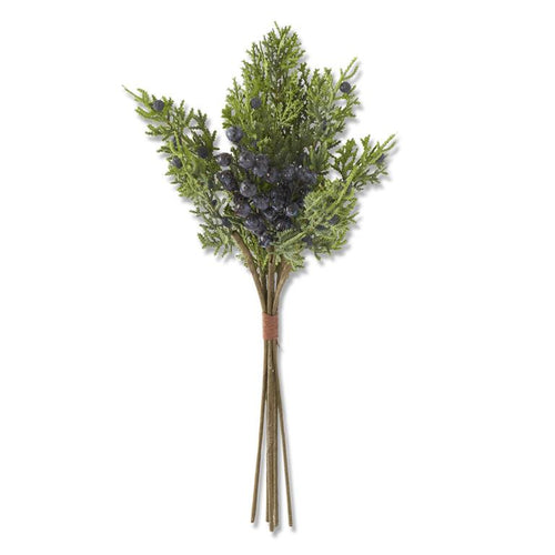16.25 Inch Cedar & Blueberry Bundle