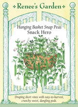 Load image into Gallery viewer, Seeds-Vegetable