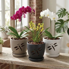 Load image into Gallery viewer, Dragonfly Orchid Pot