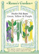 Load image into Gallery viewer, Seeds-Vegetable