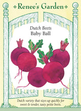 Load image into Gallery viewer, Seeds-Vegetable