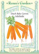 Load image into Gallery viewer, Seeds-Vegetable