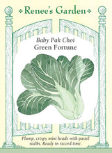 Load image into Gallery viewer, Seeds-Vegetable