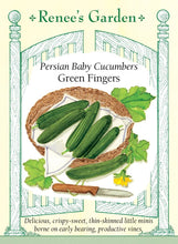 Load image into Gallery viewer, Seeds-Vegetable