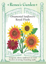 Load image into Gallery viewer, Seeds - Flowers