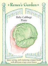 Load image into Gallery viewer, Seeds-Vegetable