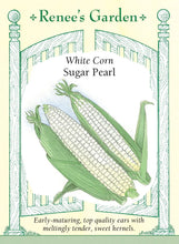 Load image into Gallery viewer, Seeds-Vegetable