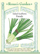 Load image into Gallery viewer, Seeds-Vegetable