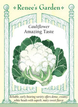 Load image into Gallery viewer, Seeds-Vegetable