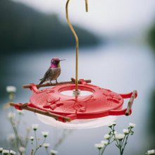 Load image into Gallery viewer, Red hummingbird feeder with decorative perches and small hummingbird perched on edge