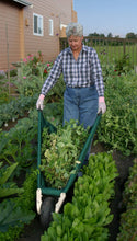 Load image into Gallery viewer, WheelEasy LE Collapsible Wheelbarrow