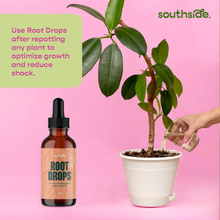 Load image into Gallery viewer, Southside Root Drops bottle with dropper next to potted plant being watered