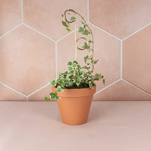 Load image into Gallery viewer, Mini Plant Stake Perch - Gold