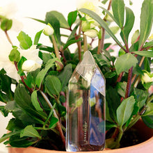 Load image into Gallery viewer, Clear crystal-shaped glass watering device inserted into potted plant with green foliage