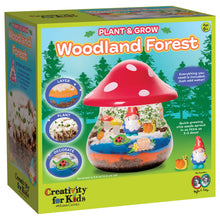 Load image into Gallery viewer, Creativity for Kids mushroom-shaped terrarium kit box with woodland forest theme for ages 6+