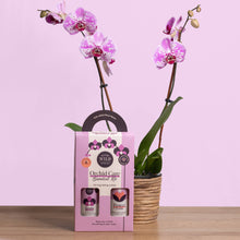 Load image into Gallery viewer, Orchid Care Essential Kit with Bloom and Protect bottles next to purple spotted orchid plant
