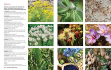 Load image into Gallery viewer, Open herb reference book showing spice varieties with botanical photos and descriptions