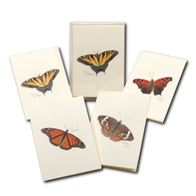 Load image into Gallery viewer, Butterfly Assortment
