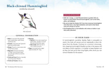 Load image into Gallery viewer, Open book pages showing Black-chinned Hummingbird identification guide with illustrations and care tips