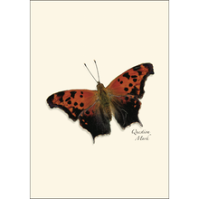 Load image into Gallery viewer, Butterfly Assortment