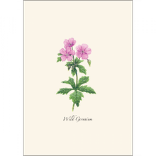 Load image into Gallery viewer, Wild Geranium botanical illustration showing pink flowers with green leaves on cream background